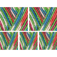 West Yorkshire Spinners Signature Sparkle 4 Ply Yarn Value Pack 5x100g Vintage Tinsel 1051 500g
